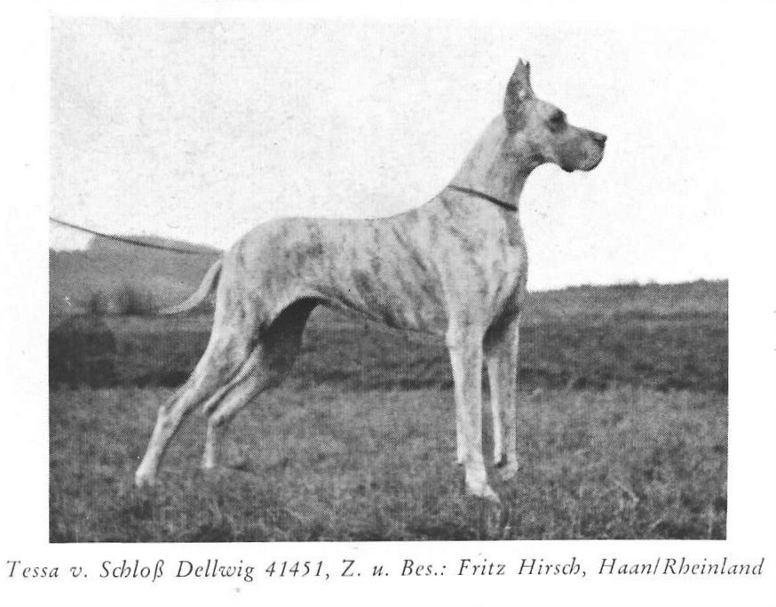 Tessa v Schloss Dellwig